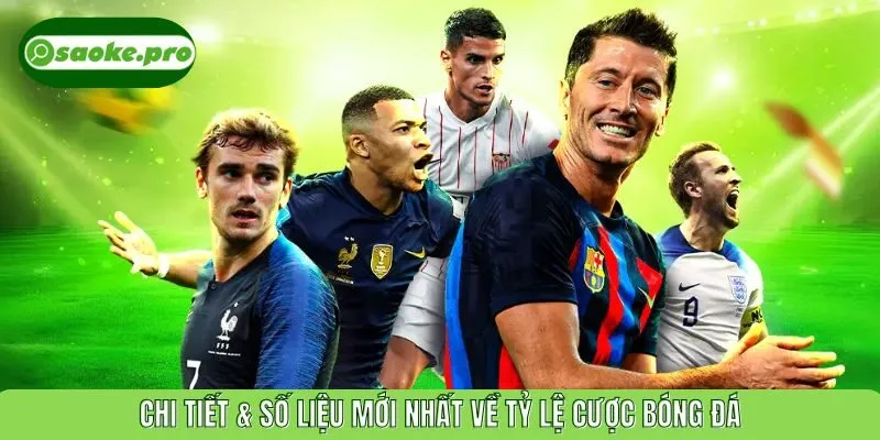 Chi tiết & số liệu mới nhất về tỷ lệ cược bóng đá