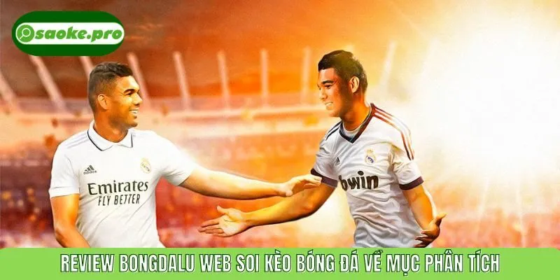 Review Bongdalu web soi kèo bóng đá về mục phân tích