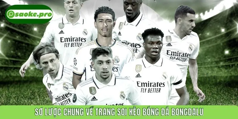 Sơ lược chung về trang soi kèo bóng đá Bongdalu