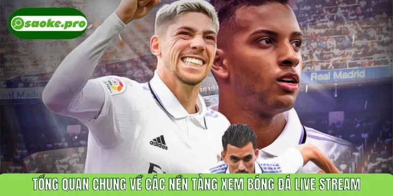 Tổng quan chung về các nền tảng xem bóng đá live stream