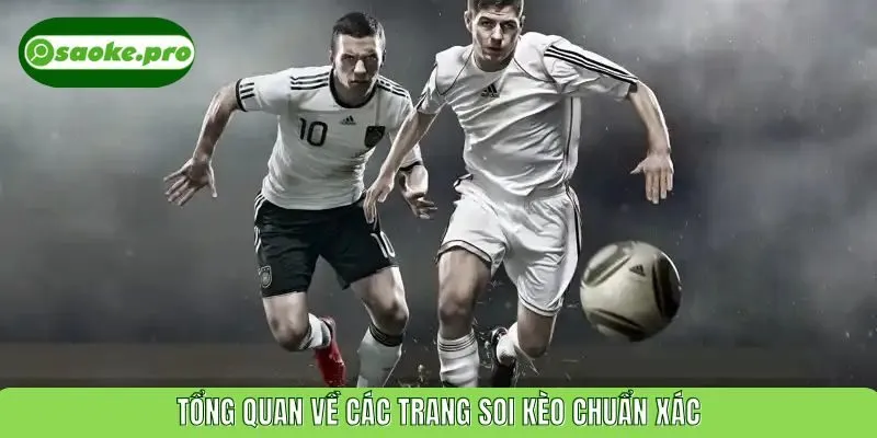 Tổng quan về các trang soi kèo chuẩn xác
